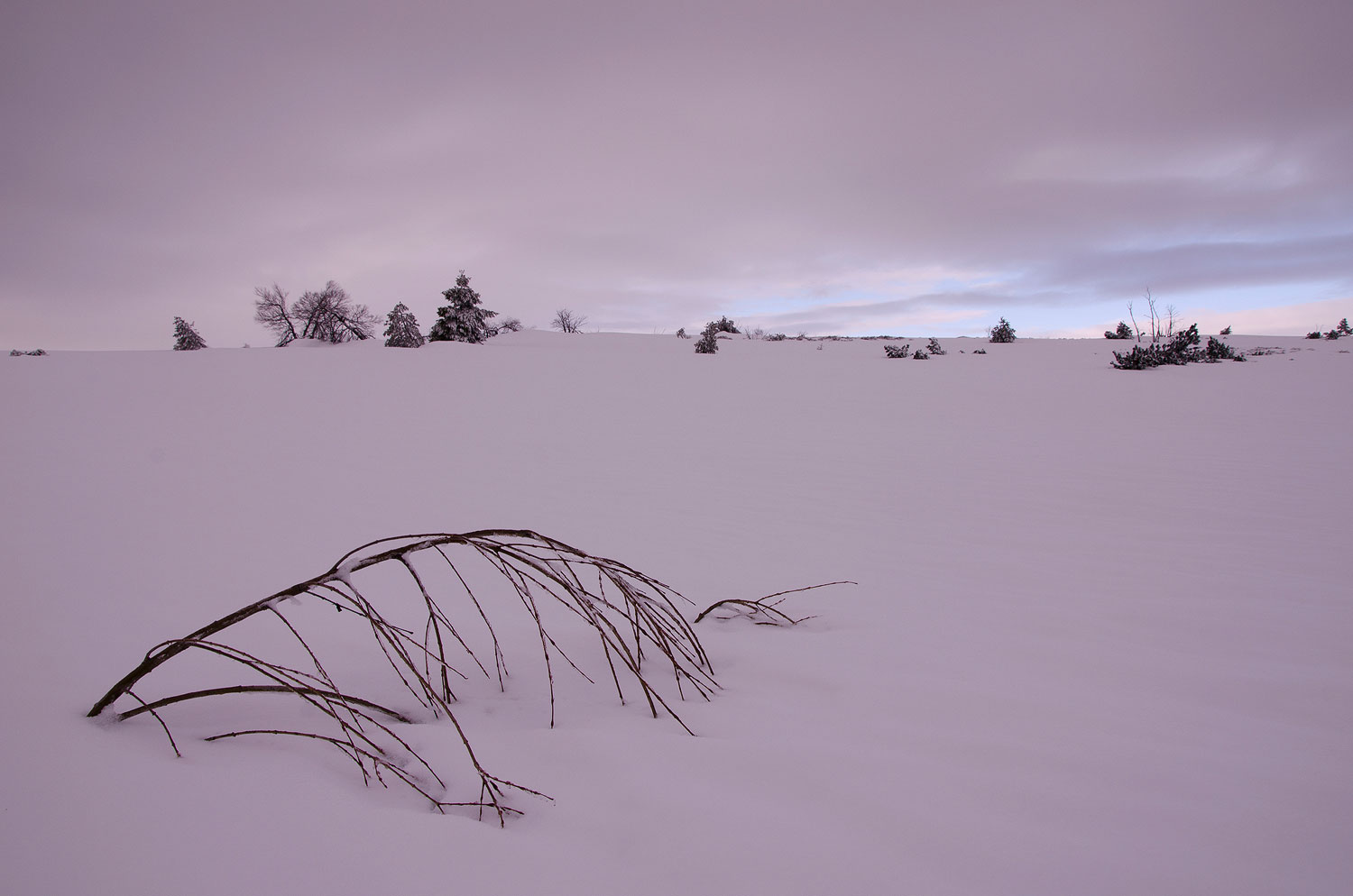 Forêt Noire en hiver | Aurélien Zint