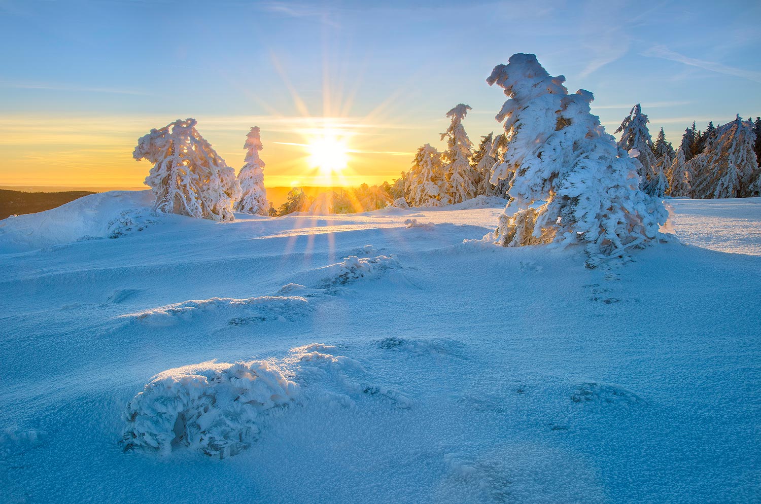 Lever de soleil glacé en Forêt-Noire | Aurélien Zint