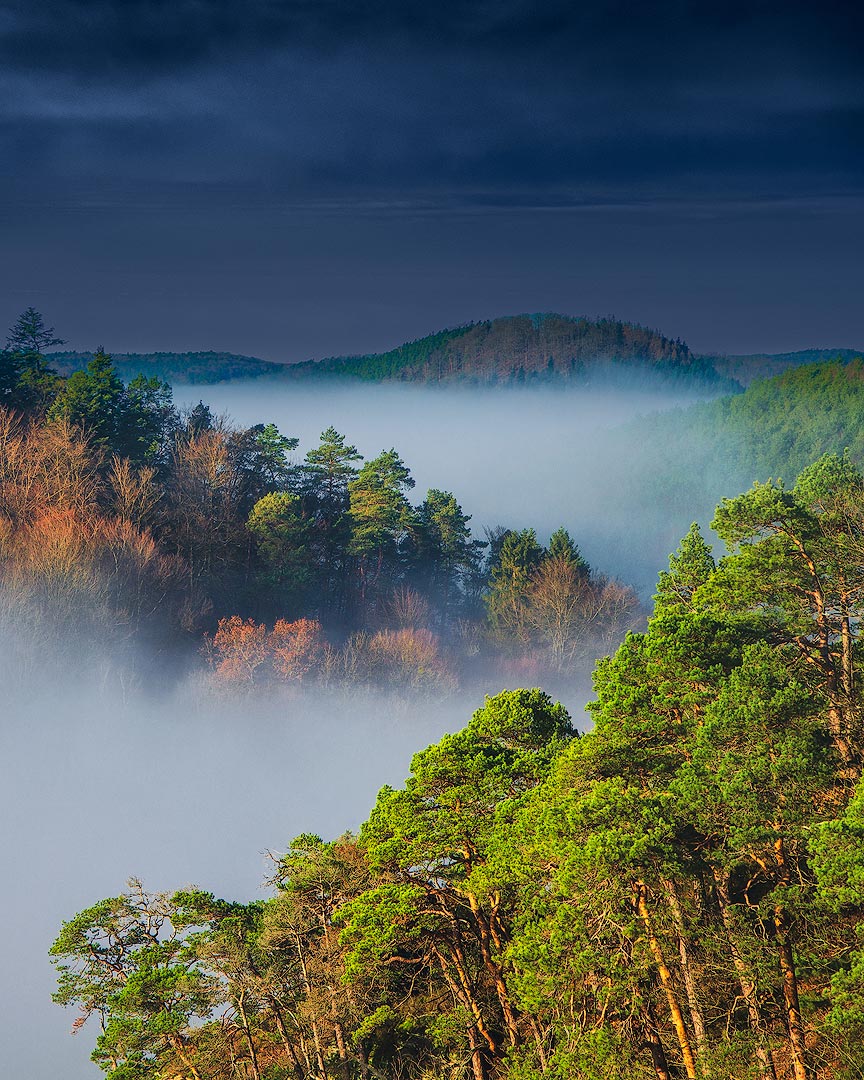 Un matin brumeux dans les Vosges | Aurélien Zint